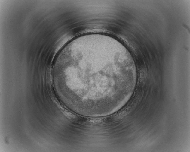 X0000097881274200804041606