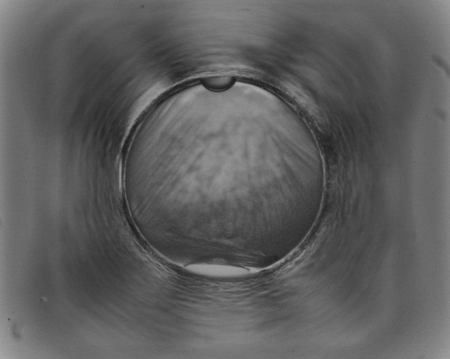 X0000097881275200804041605