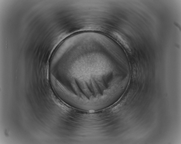 X0000097881276200804041605