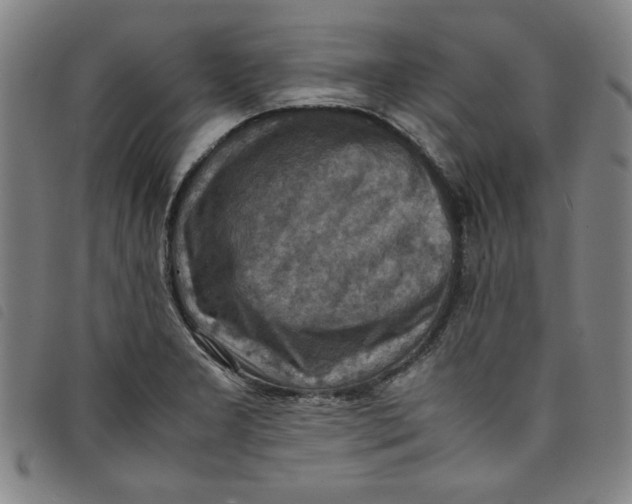 X0000097881277200804041605