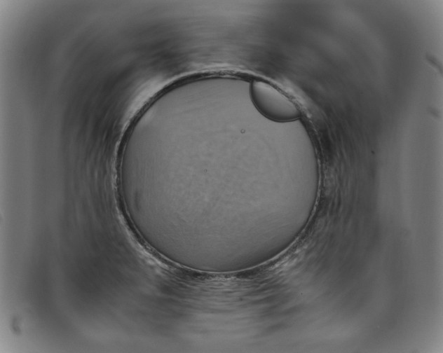 X0000097881279200804041605