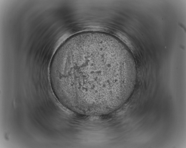 X0000097881283200804041605