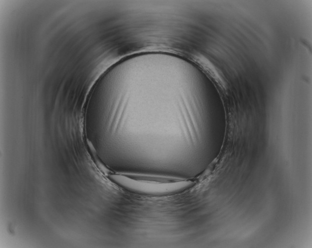 X0000097881284200804041605