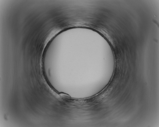 X0000097881285200804041605