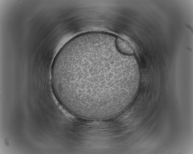 X0000097881287200804041605