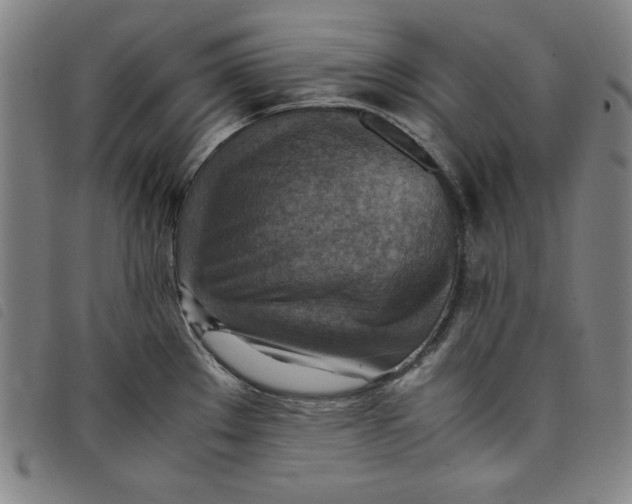 X0000097881289200804041605