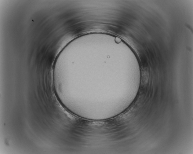 X0000097881290200804041605