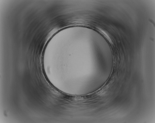 X0000097881291200804041605