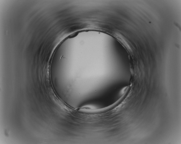 X0000097881292200804041605