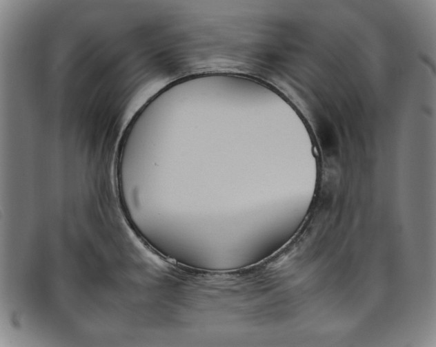 X0000097881293200804041605