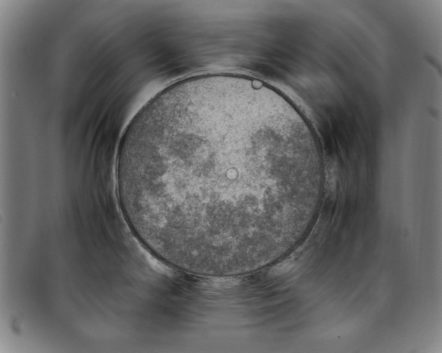 X0000097881294200804041605