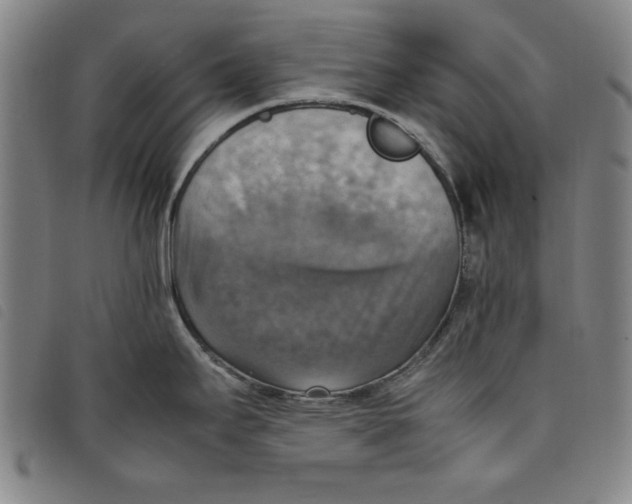 X0000097881295200804041605