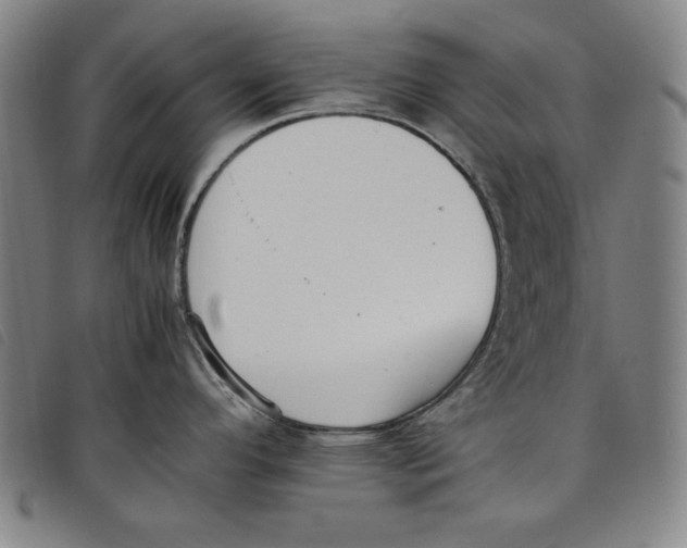 X0000097881296200804041605