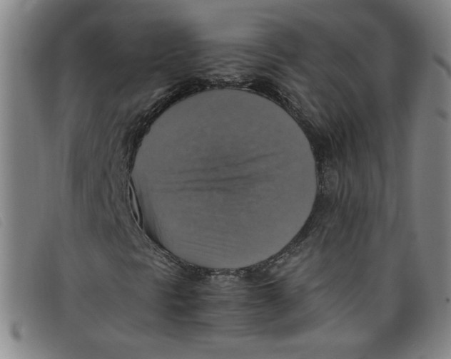 X0000097881297200804041605