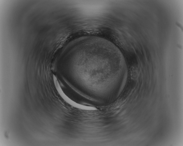 X0000097881298200804041605