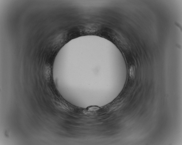 X0000097881299200804041605