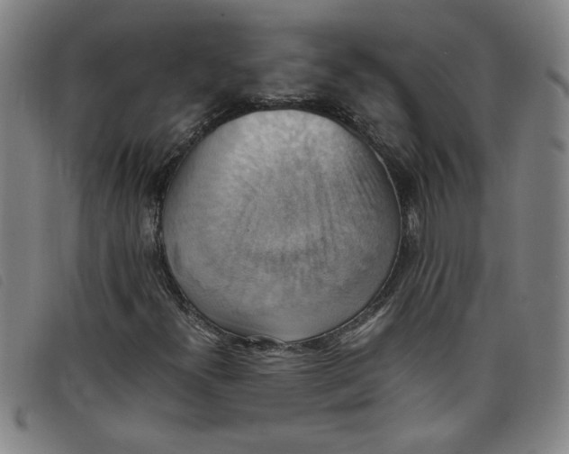 X0000097881300200804041605