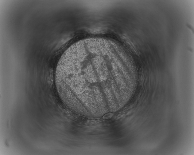 X0000097881301200804041605