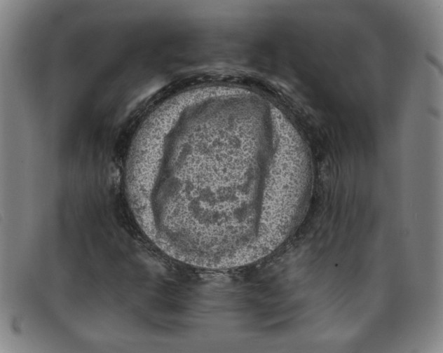 X0000097881302200804041605