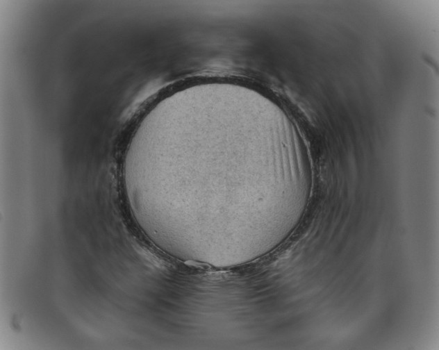 X0000097881304200804041605