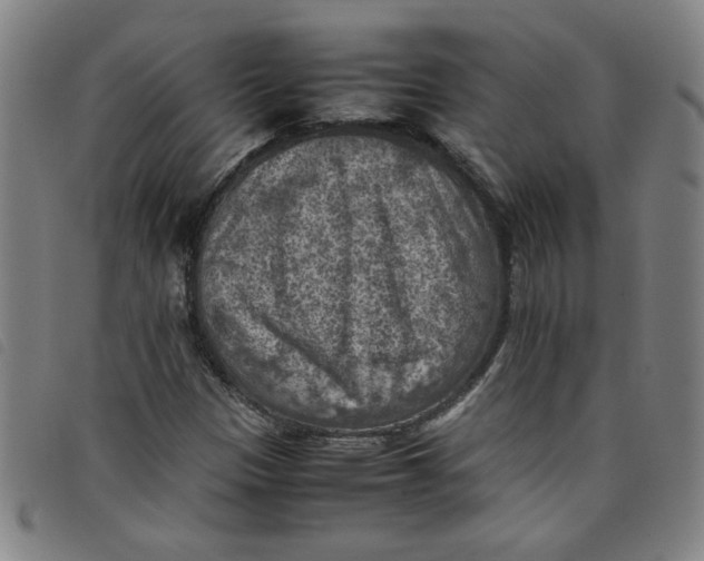 X0000097881305200804041605