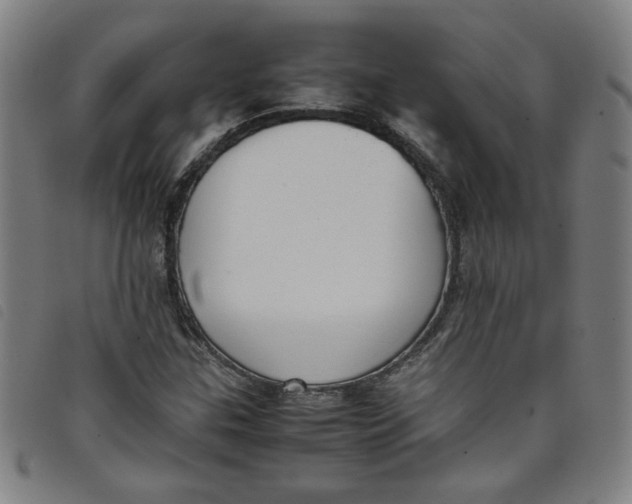 X0000097881307200804041605