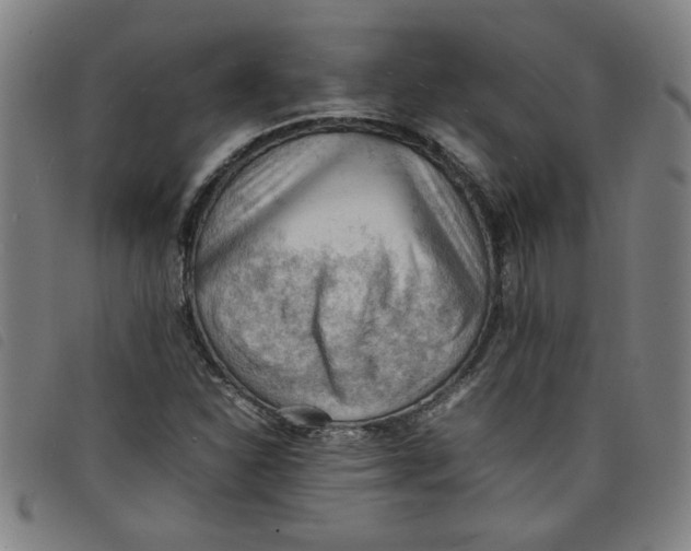 X0000097881310200804041605