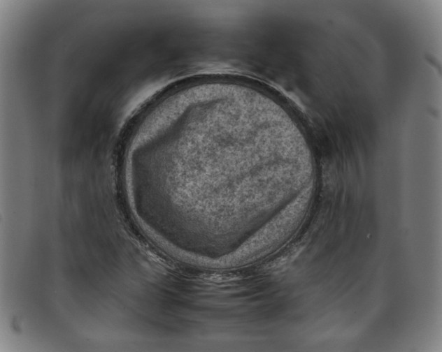 X0000097881311200804041605