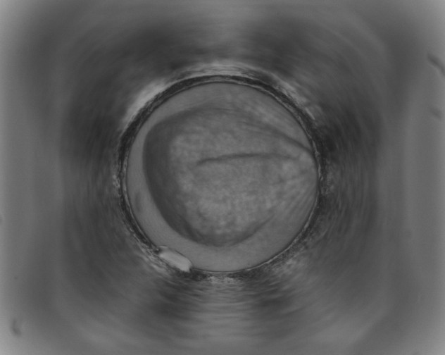 X0000097881312200804041605