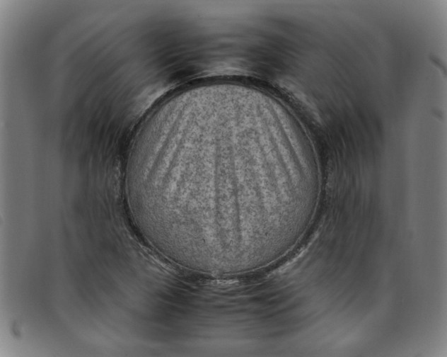 X0000097881313200804041605