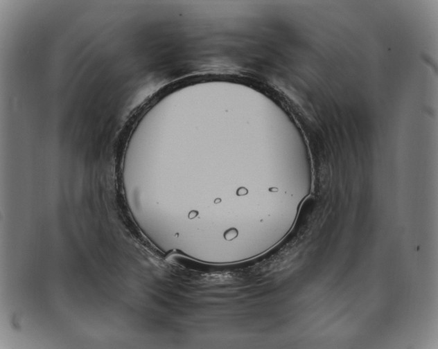 X0000097881315200804041605