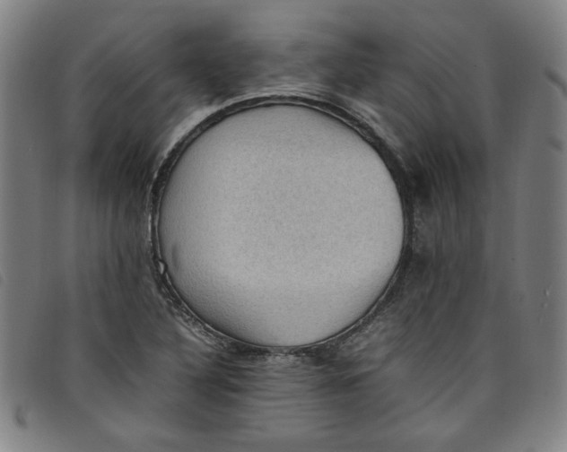 X0000097881316200804041605