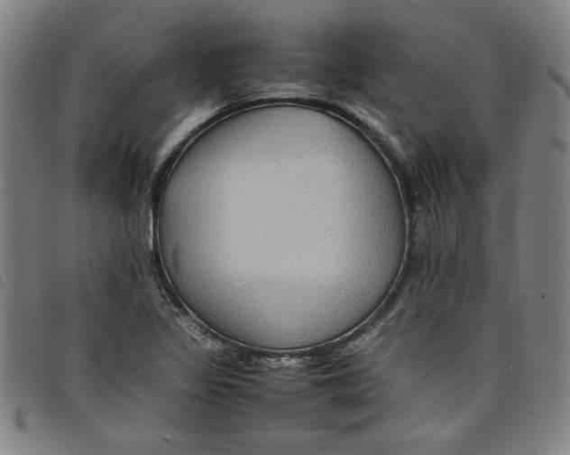 X0000097881317200804041605