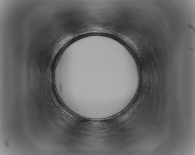 X0000097881318200804041605