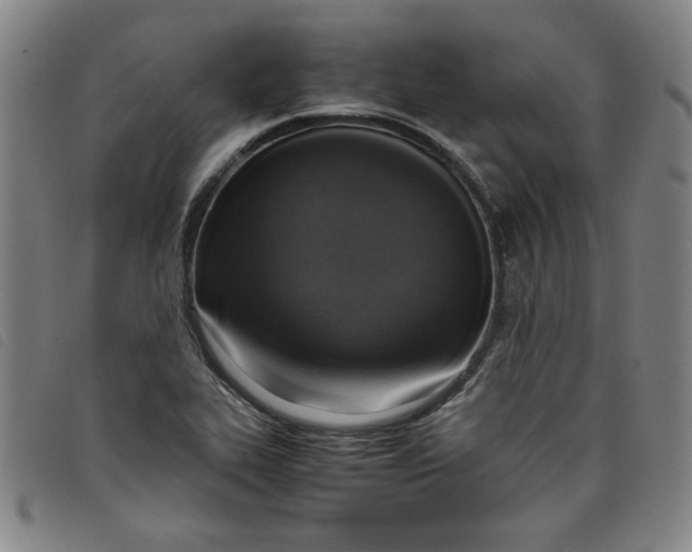 X0000097881319200804041605