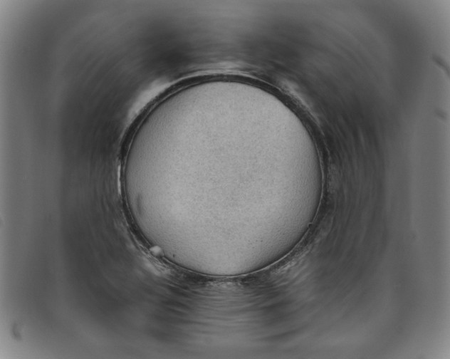 X0000097881320200804041605