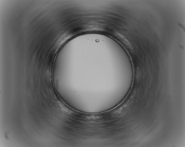 X0000097881321200804041605