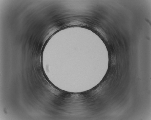 X0000097881322200804041605