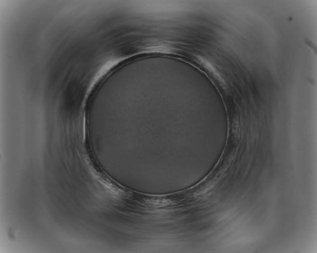 X0000097881323200804041605