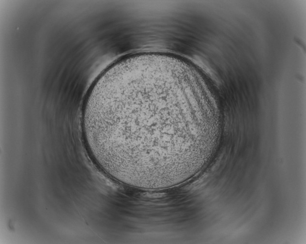 X0000097881325200804041605