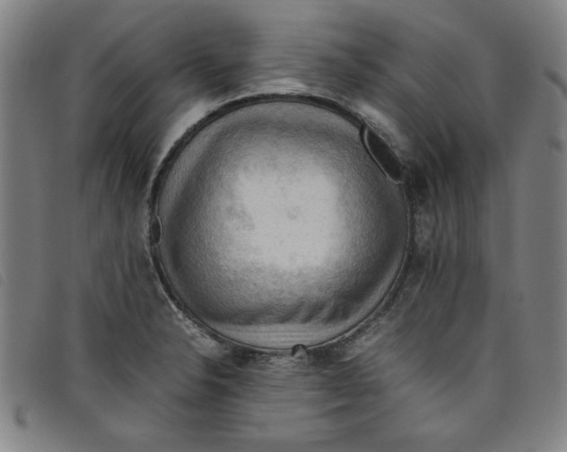 X0000097881326200804041605