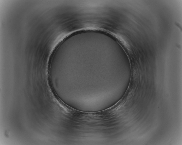 X0000097881327200804041605