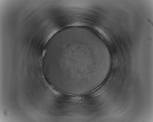 X0000097881329200804041605