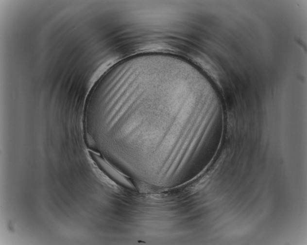 X0000097881330200804041605