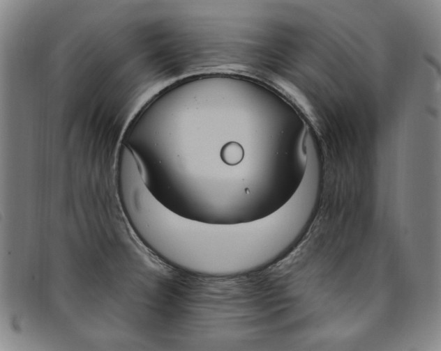 X0000097881332200804041605