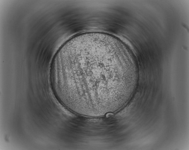 X0000097881333200804041605