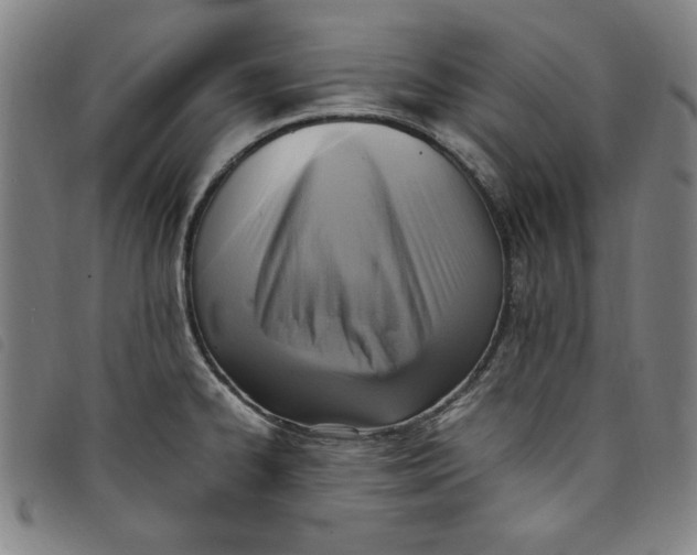 X0000097881334200804041605