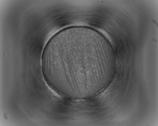 X0000097881335200804041605