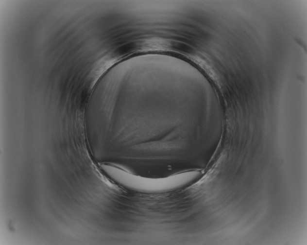 X0000097881337200804041605