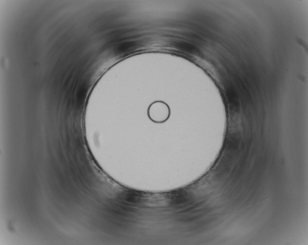 X0000097881338200804041605